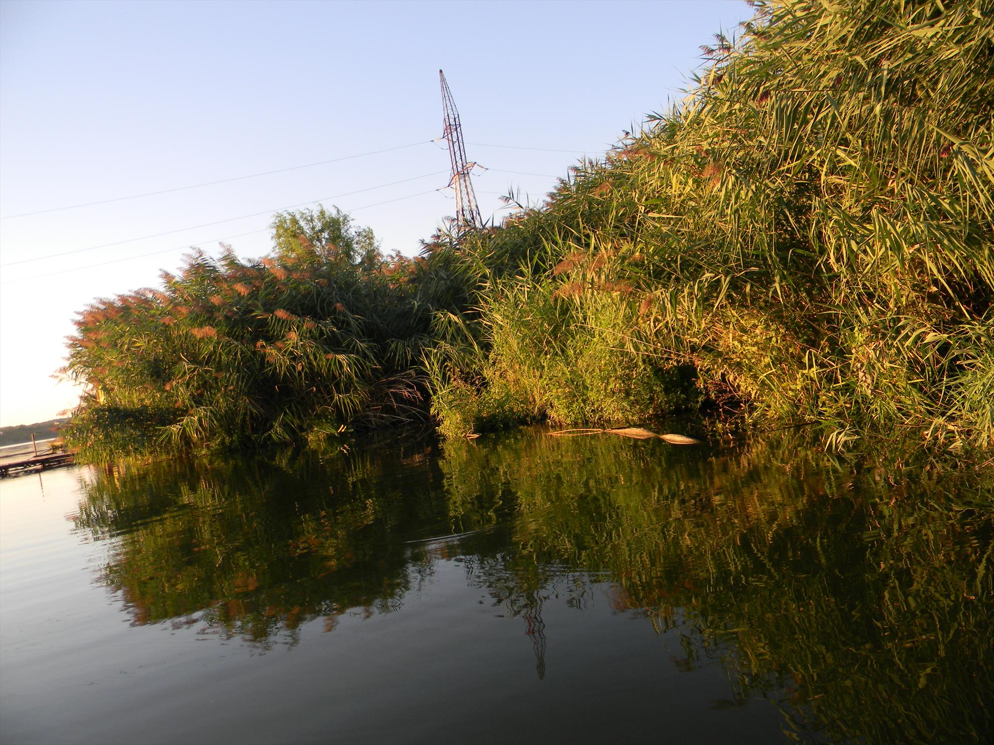 Debut mania 3-6 sep 2012 - dscn7344.JPG